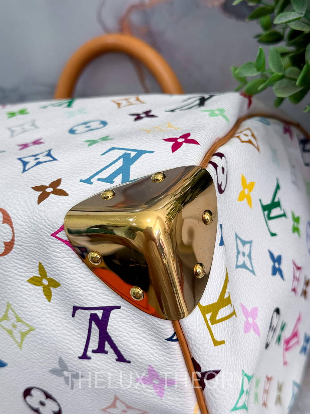 SPEEDY 30 MURAKAMI WHITE MULTICOLOUR MONOGRAM 2001