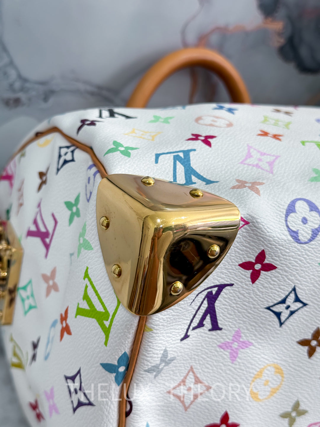 SPEEDY 30 MURAKAMI WHITE MULTICOLOUR MONOGRAM 2001